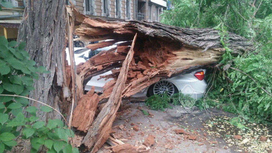 Гроза в Одесі