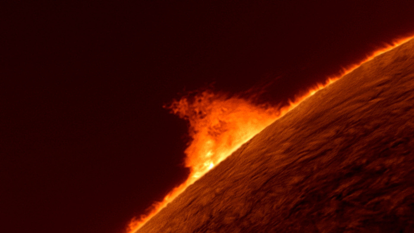 Фото Gary Palmer. 
Виступ на Сонці
