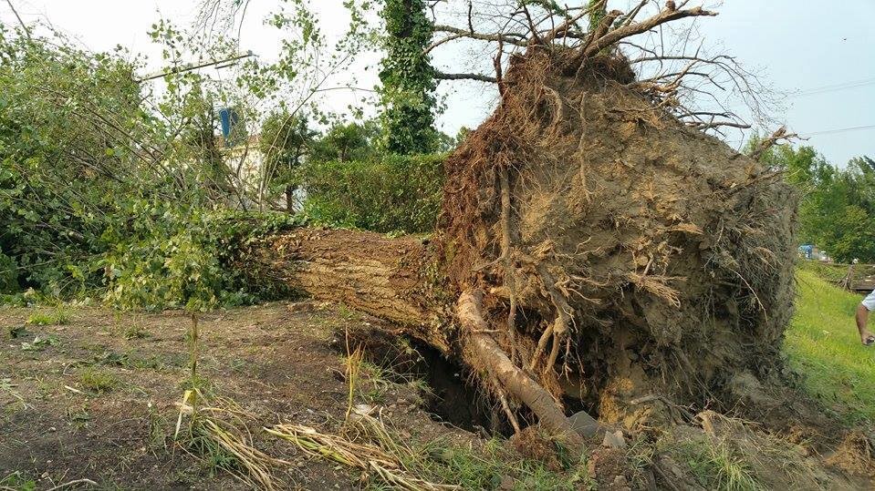 Последствия разгула стихии