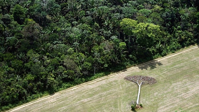 Daniel Beltra/Verve Gallery