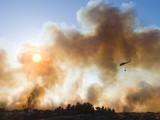 У Каліфорнії вирує лісова пожежа