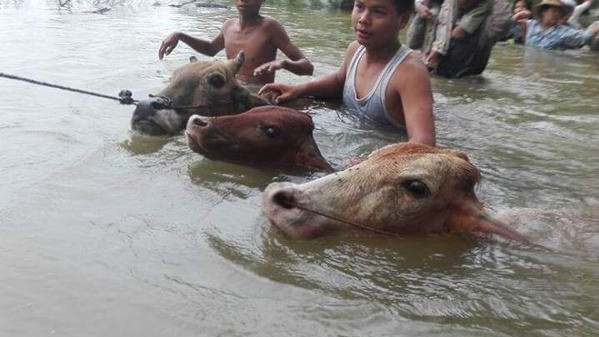 М'янма (Бірма) переживає найсильнішу повінь