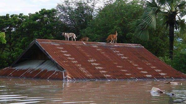 М'янма (Бірма) переживає найсильнішу повінь
