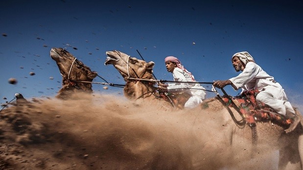 На третьем месте — фотография скачек на верблюдах в Омане (категория "Открытые пространства")