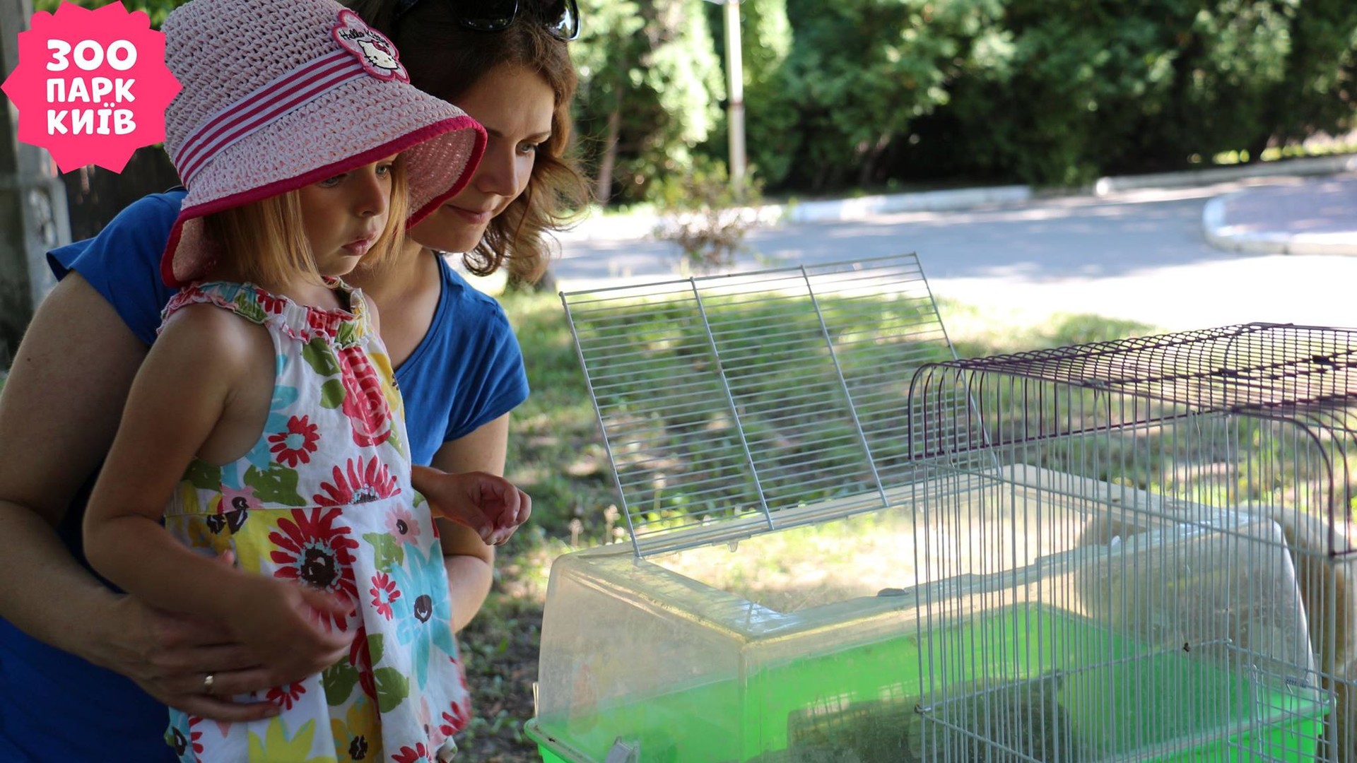 День ветеринара в зоопарку
