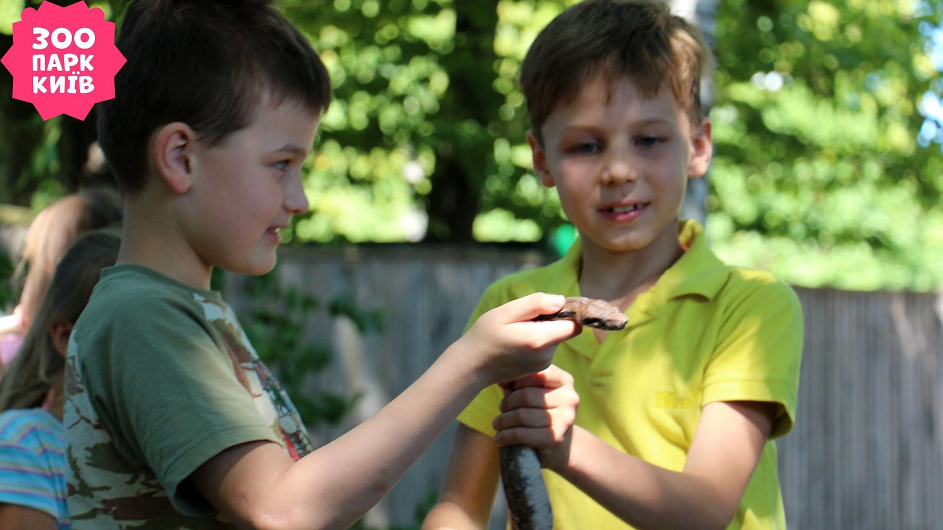 День ветеринара в зоопарку