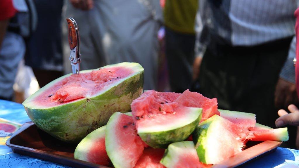 На фестивалі в Херсонській області гості наїлися солодких кавунів