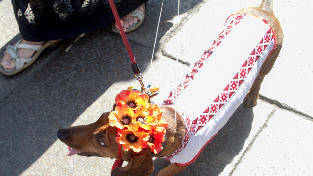 "Вышиванковый фестиваль" в Одессе прошел с размахом