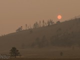 Огонь уничтожает деревья в заповедниках