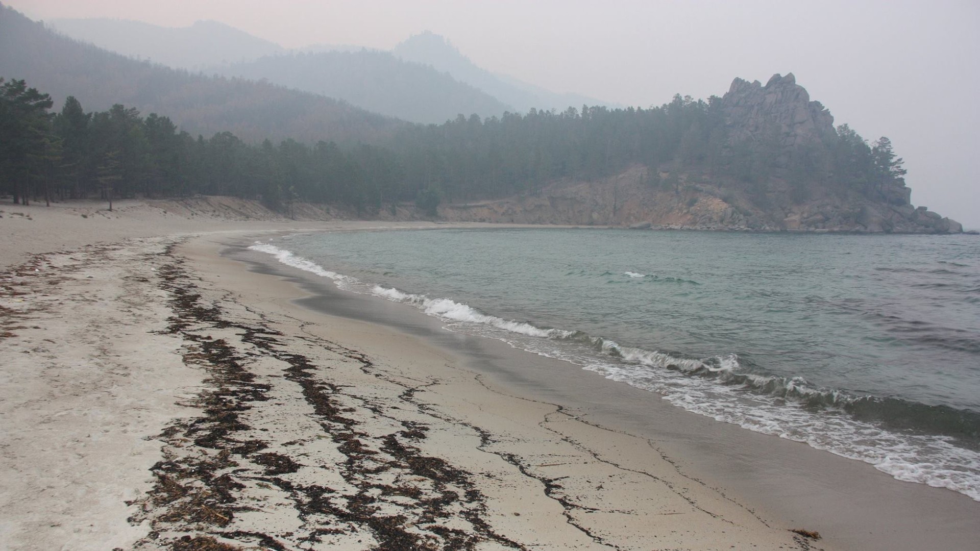 Вогонь знищує дерева в заповідниках