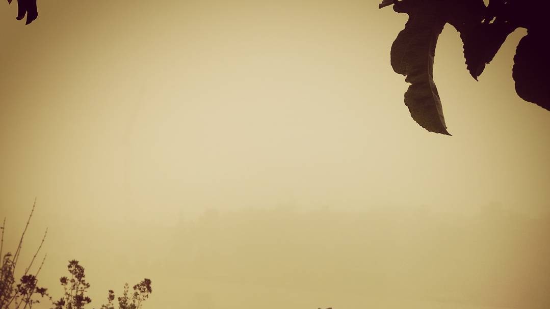 Піщана буря в Ізраїлі