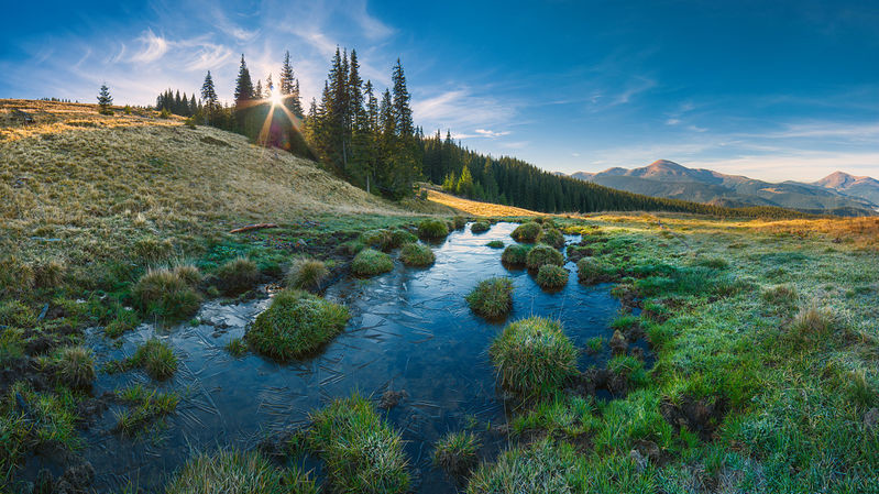 Карпатское морозное утро. Фото Vian