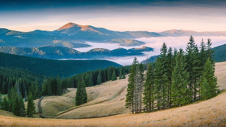 Карпатский биосферный заповедник. Фото Vian