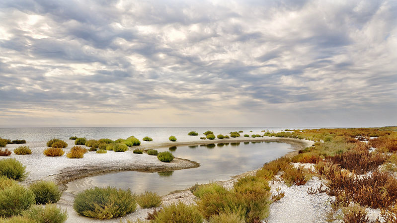 "Кинбурнская коса", Очаковский р-н. Анна Стрижекінь