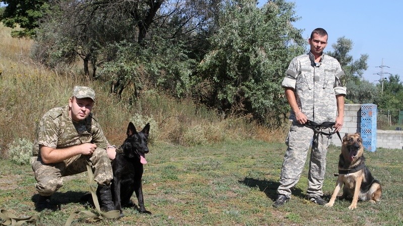 Кинологи с собаками