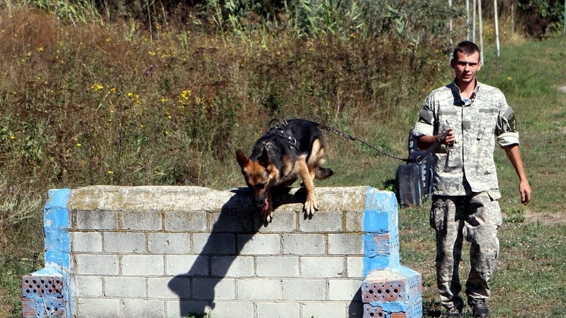 Тренировка на полосе препятствий