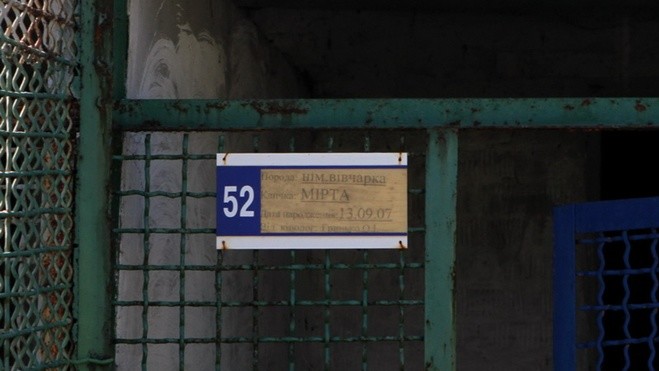 Собаки кинологического центра