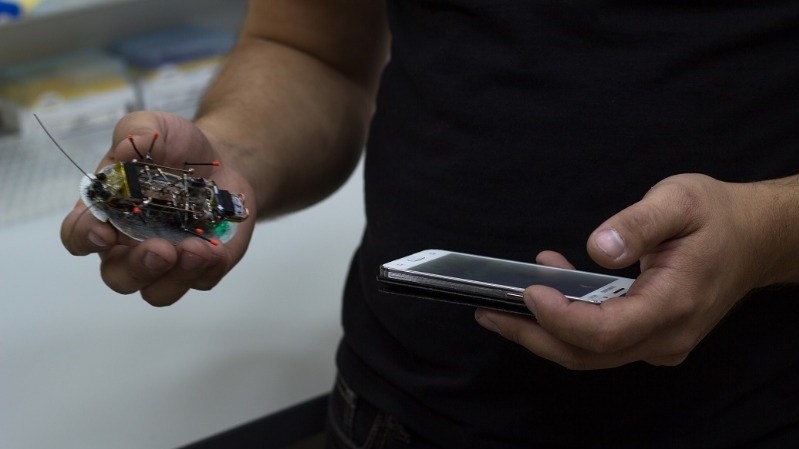 Вчені розроблять рій автономних роботів, які можуть виконувати бойові завдання.