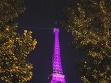 Великий прожектор Ейфелевої вежі вимкнуть до 10 жовтня.