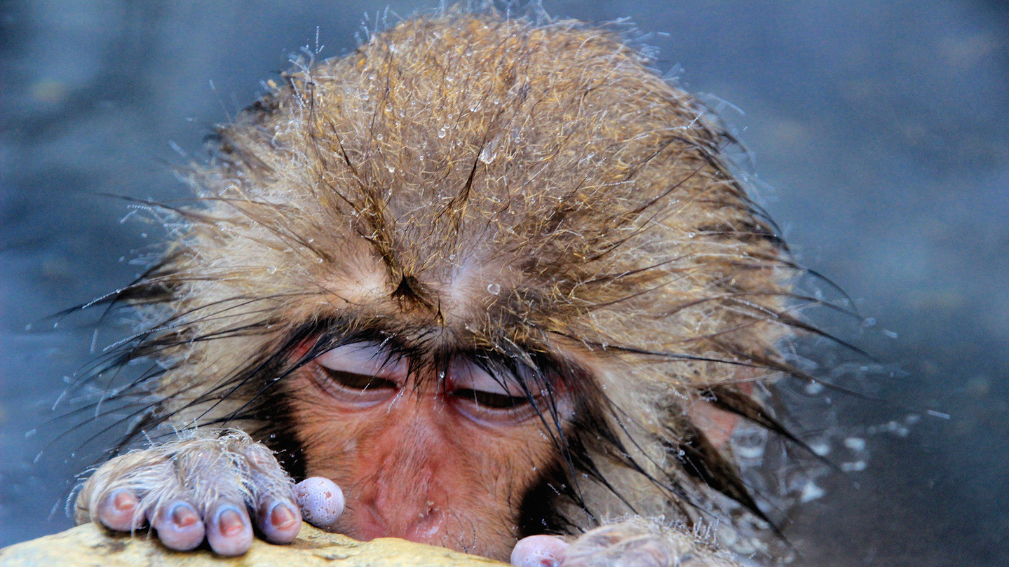 Фото Michael Haikal