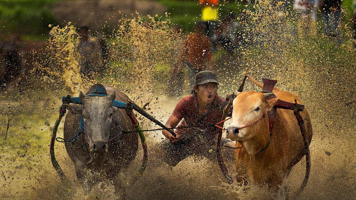 Фото Chee Keong Lim