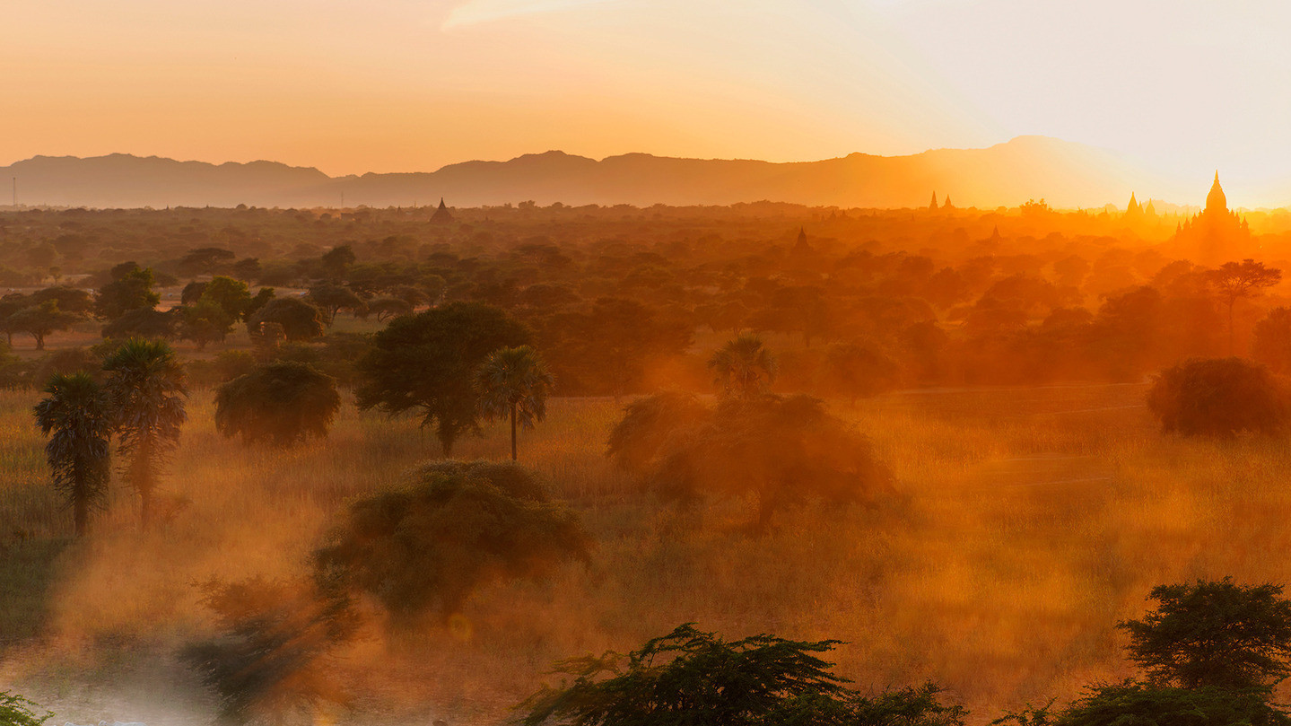 Фото Pradeep Raja