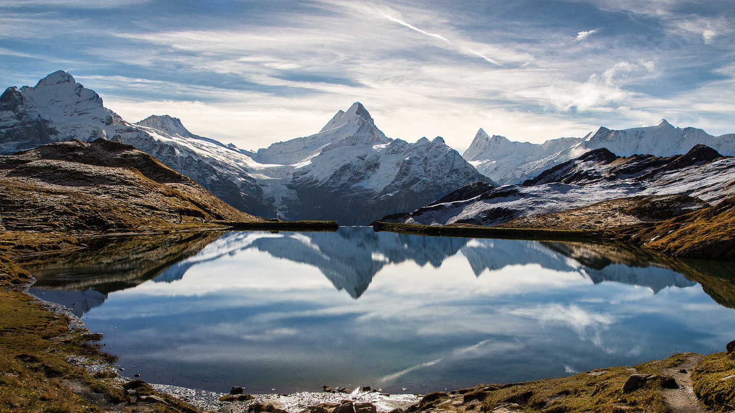 Фото Genevieve Schneider