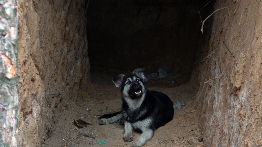 Боец надеется сделать выставку своих снимков