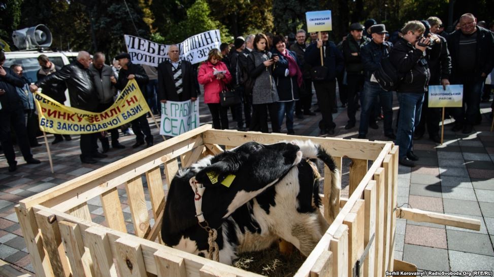 Фермери обіцяють перейти до більш радикальних дій, якщо депутати не прислухаються до їхніх вимог