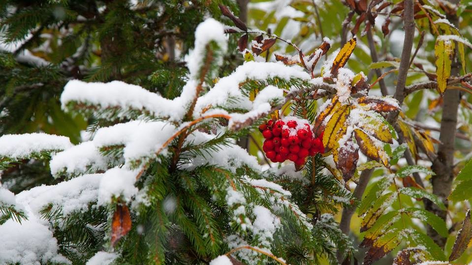 На вихідних буде тепло і сонячно