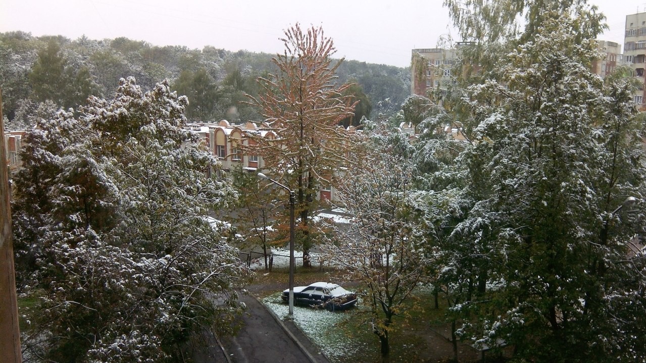 Сніг у Львові