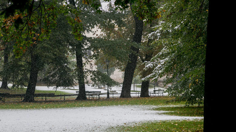 Сніг у Польщі