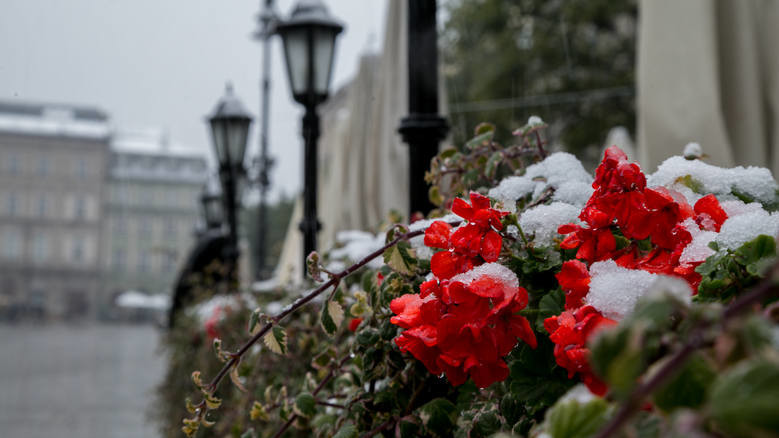 Сніг у Польщі