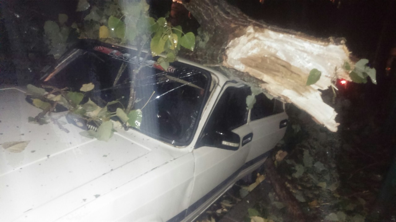 Наслідки бурі