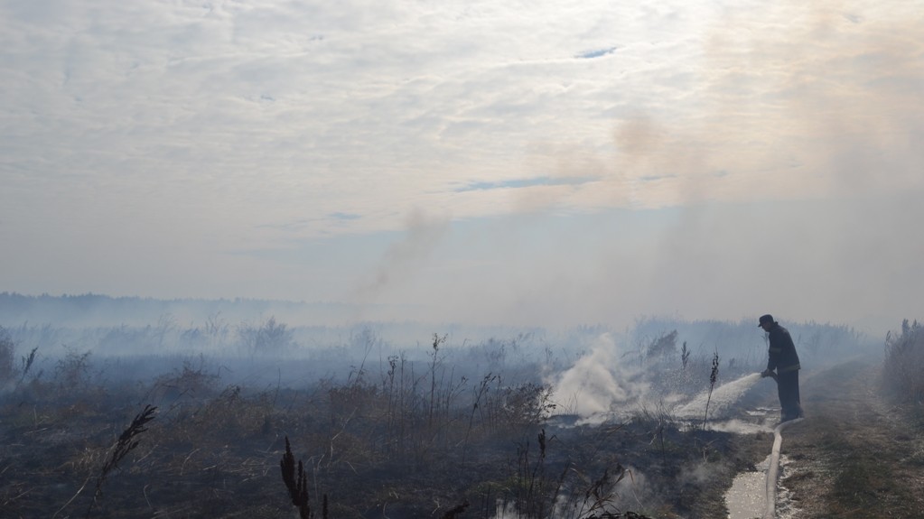 Под Киевом горят торфяники