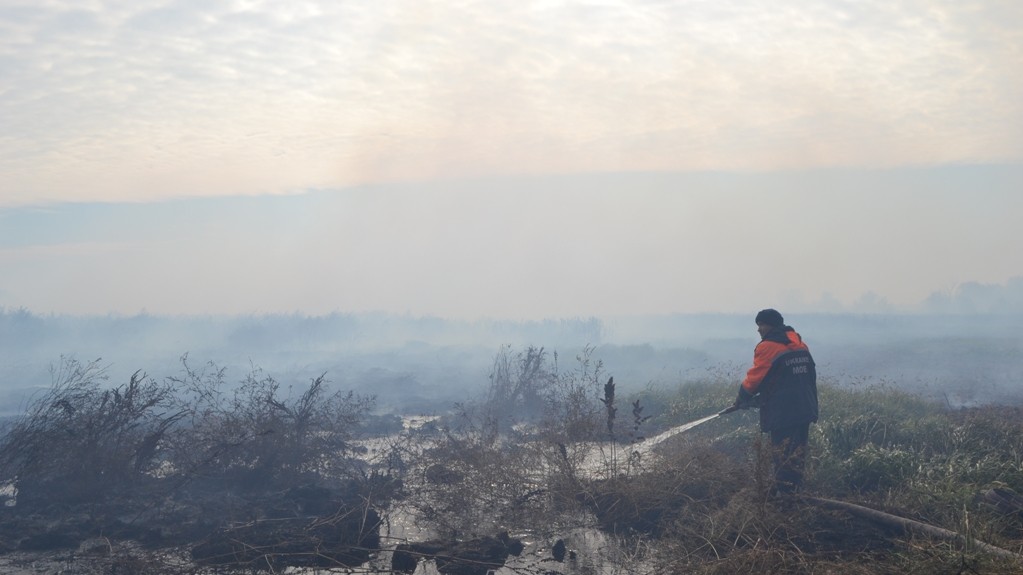 Под Киевом горят торфяники