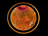 Картины из бактерий