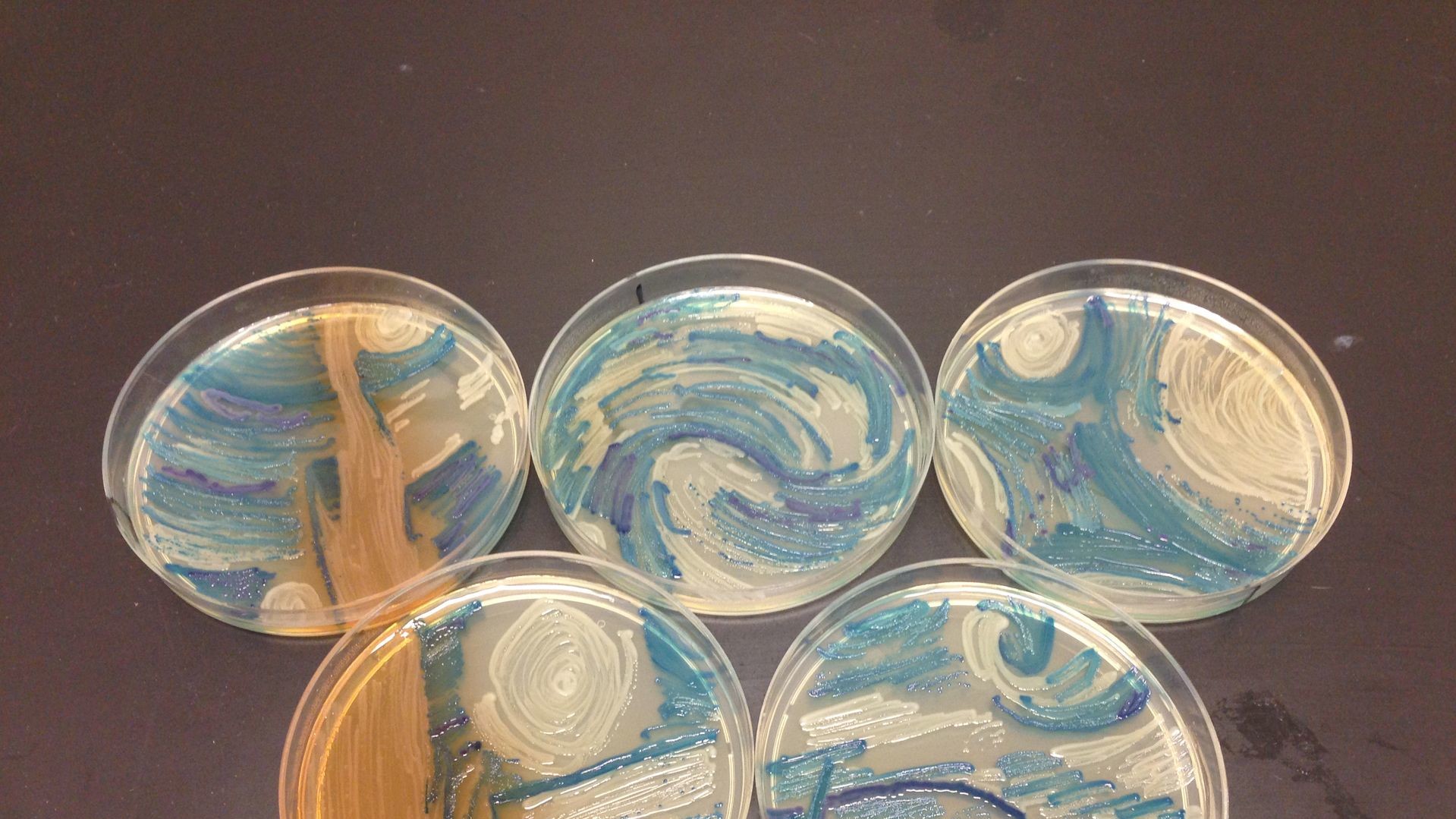 "Зоряна ніч"