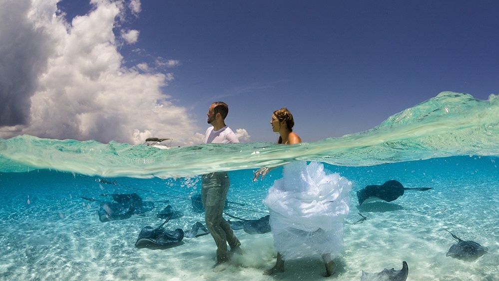Приоделись для приключений. Автор Дженнифер Джо Сток