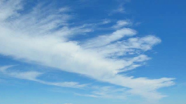 Пустеля в Чилі цвіте