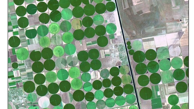 Общая категория. Спутниковое изображение орошаемых полей и системы ирригации Каховского оросительного канала. Автор Anastasiya.Tishaeva