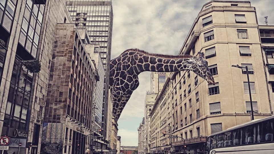 Автор José María Perez