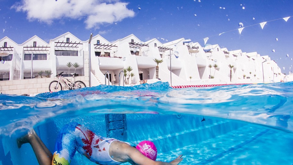 Автор Petra Van Borm