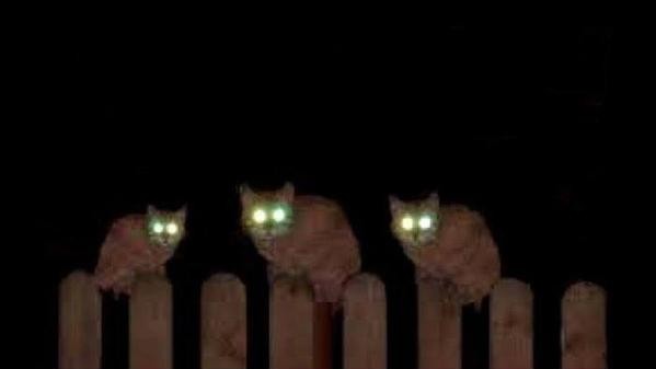 Энергетическая блокада Крыма в фотожабах