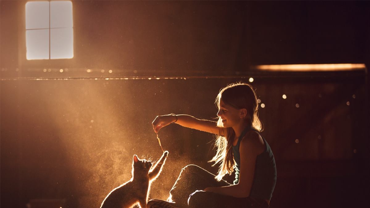 Фото Sara Hadenfeldt