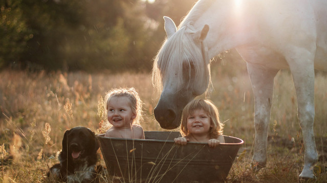 Фото Agnieszka Gulczyńska