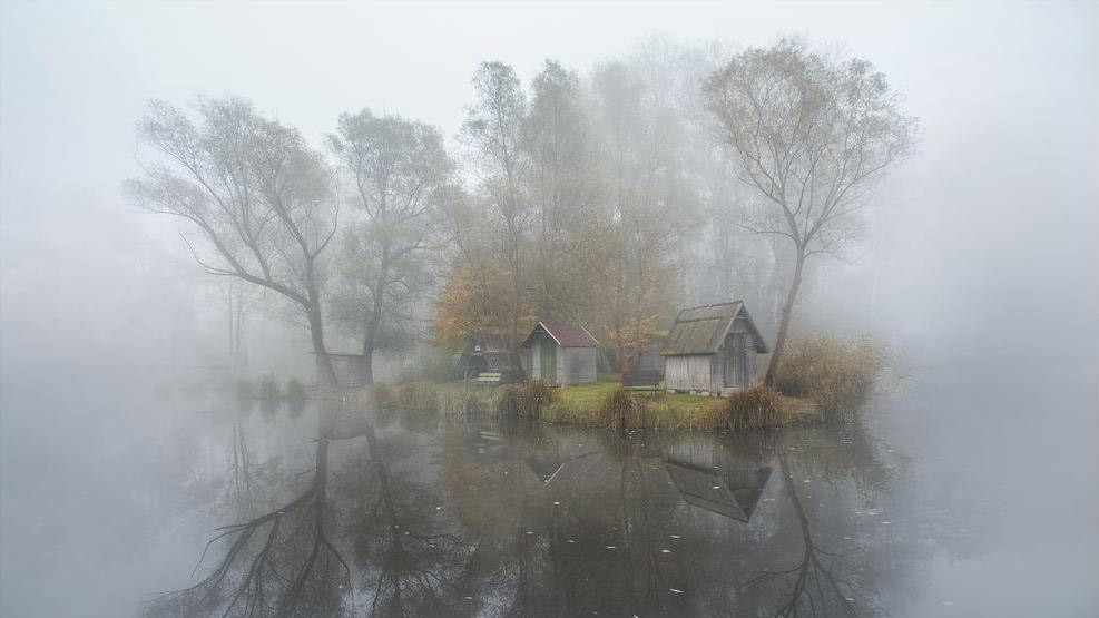 Фото GABOR DVORNIK