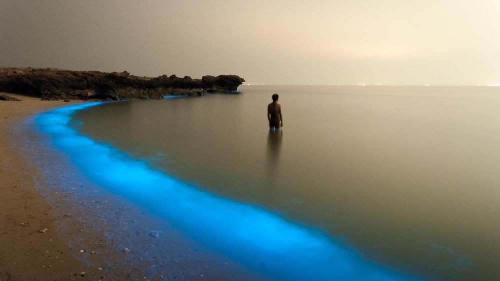 Фото POOYAN SHADPOOR