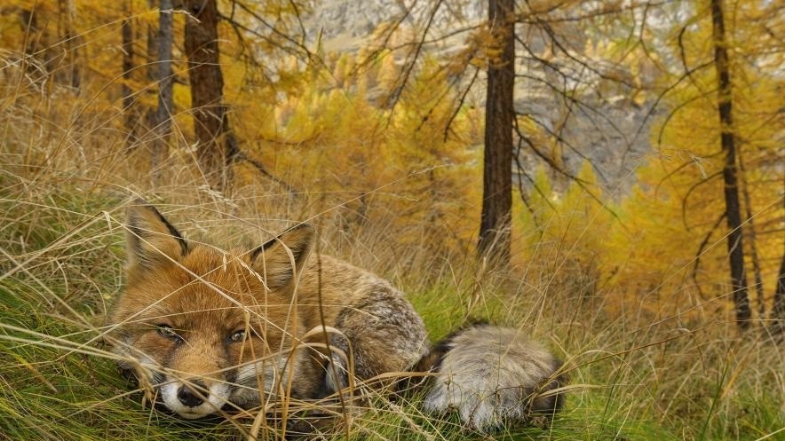 Фото STEFANO UNTERTHINER