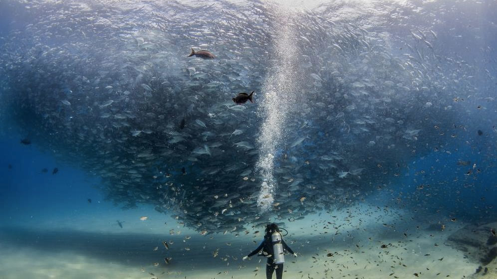 Фото JEFF HESTER